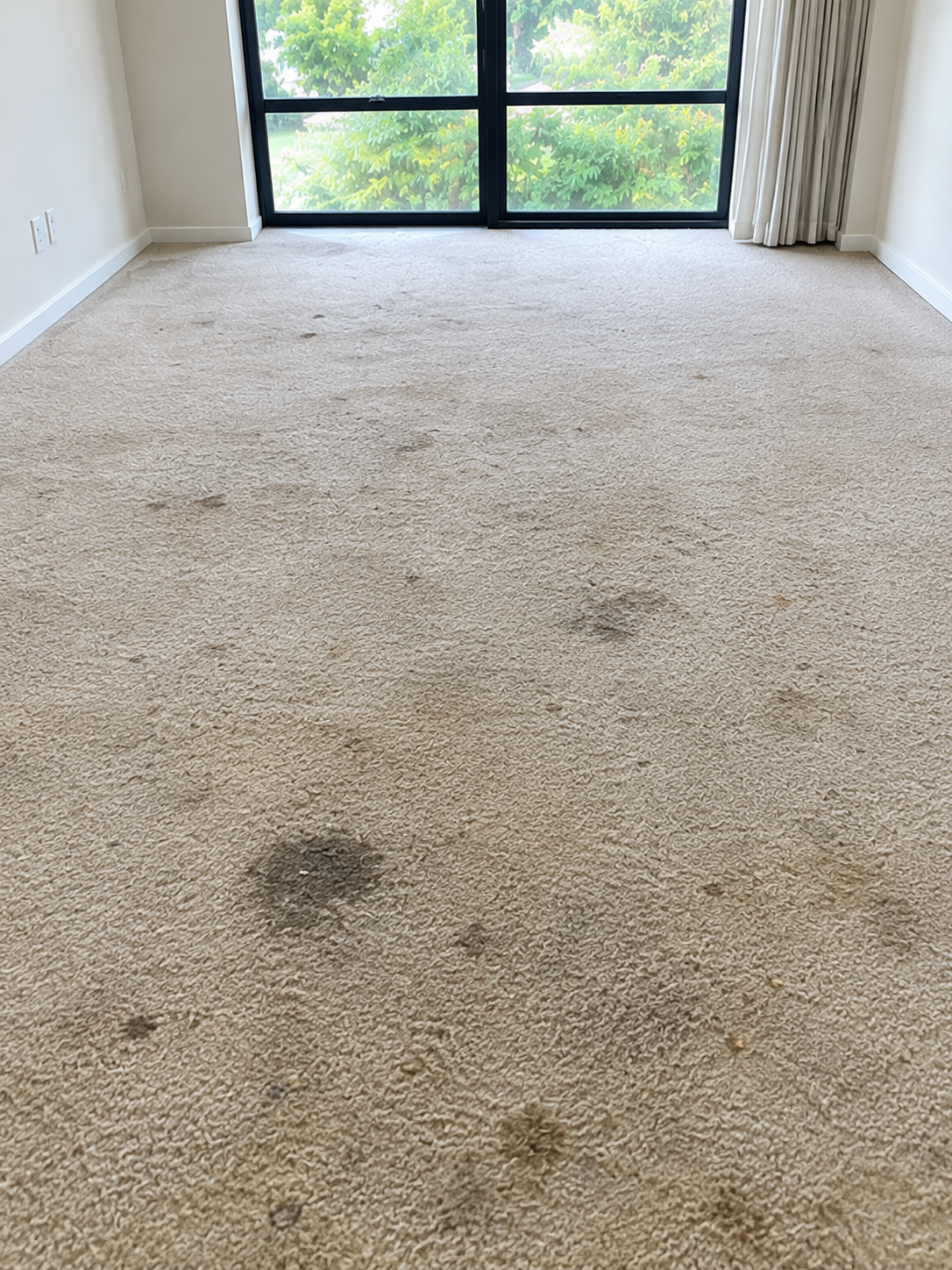Before and after carpet cleaning